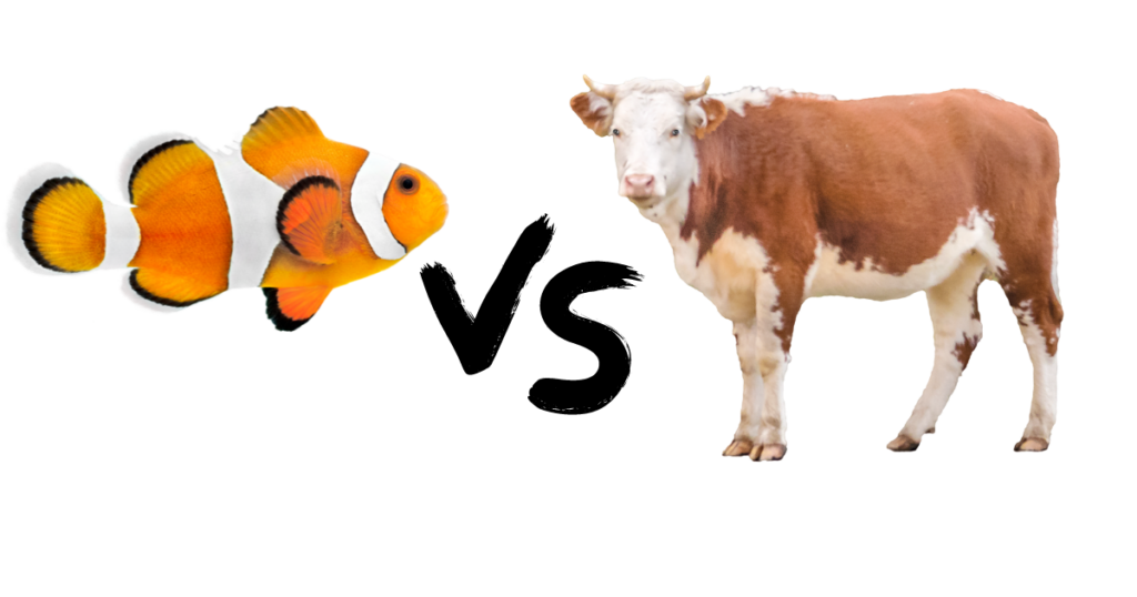 marine collagen versus bovine collagen